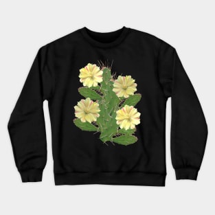 Cactus - cactus flower - flower - flora in Africa Crewneck Sweatshirt